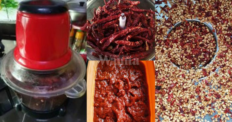 Buat Cili Kisar Mudah & Jimat Masa, Guna ‘Chopper’ Keluar Habis Bijinya!