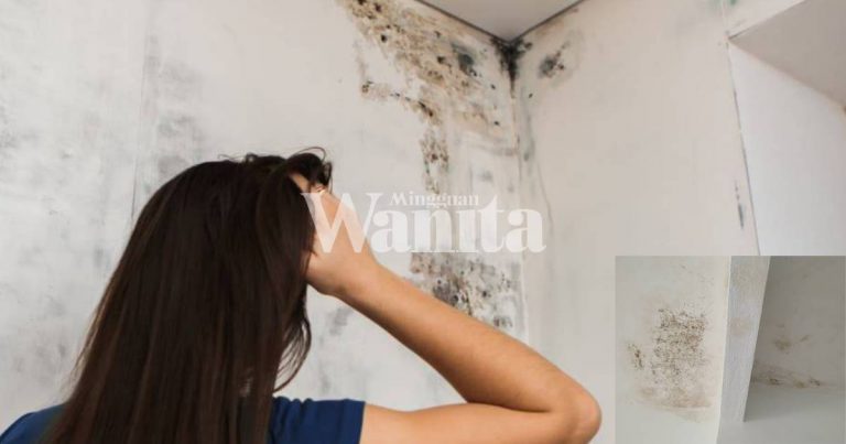 Tanda Tompok Hitam Pada Siling & Dinding, Ada Kaitan Dengan Kesihatan, Undang Bahaya!