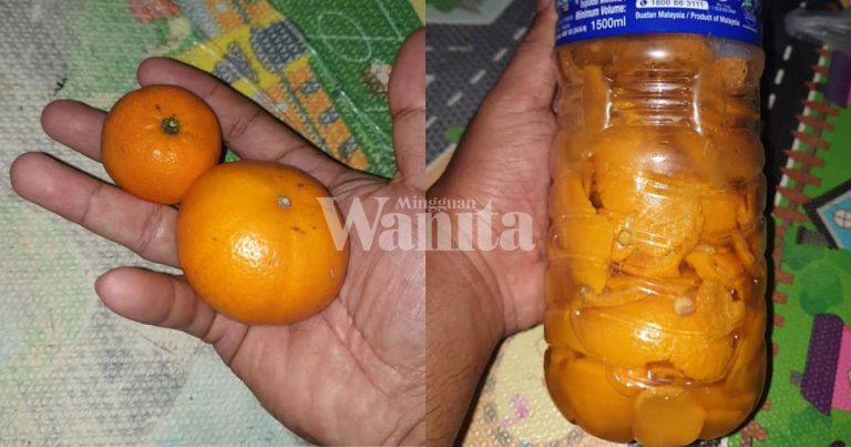 Jangan Buang Kulit Limau, Buat Pati Untuk Semburan Serangga Tanaman, 100% Berkesan!