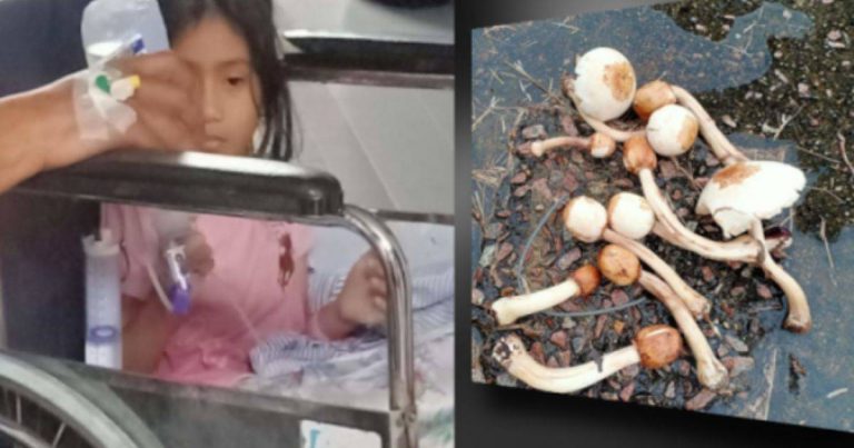 “Rebah Seorang Demi Seorang, Mulut Berbuih, Berdarah.” Malang 9 Beranak Termakan Kulat Beracun