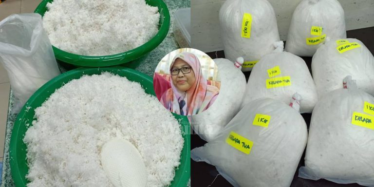 TIP PENTING Simpan Kelapa Parut Frozen, Barulah Tahan Lama, Tak Rosak Berbau!