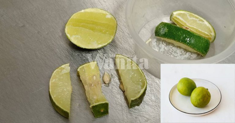 Tip Simpan Limau Nipis Dalam Freezer, 3 Minggu Masih Elok & Tak Kering