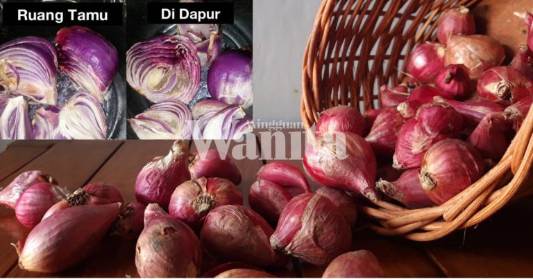 Petua Orang Dulu, ELAK Demam, Selesema, BATUK Berjangkit Satu Rumah Guna BAWANG MERAH