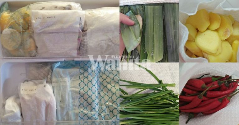 Petua Dedaun Tahan Lama, Tak Kering, Simpan Dalam Freezer, Tak Perlu Rendam Air