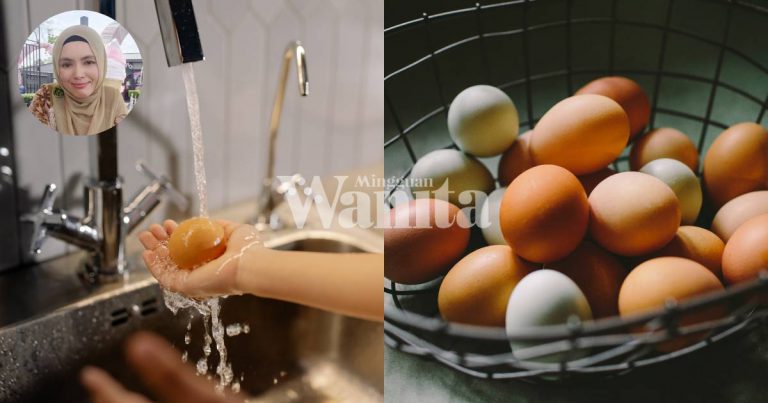 Telur Tahan Lama, JANGAN BASUH Kecuali Simpan Dalam Peti Ais, Elak ‘Pencemaran Silang’