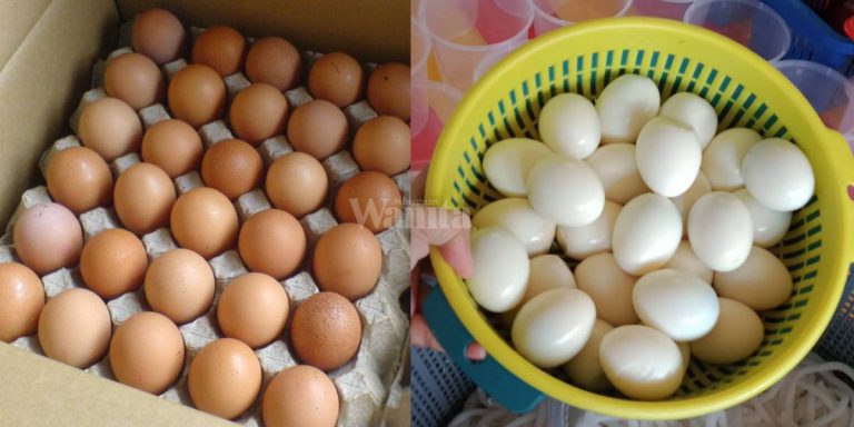 TELUR REBUS Cantik Berkilat Kulit Tak Melekat, Guna Api Perlahan!