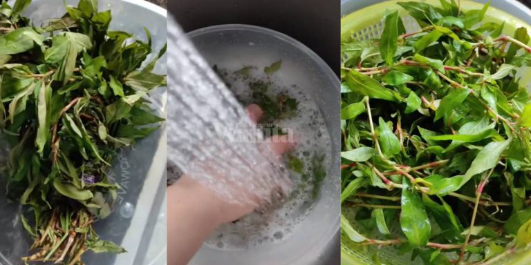Letak Bahan Ni, Sayur Layu Kembali Segar Bugar Macam Baru Lepas Petik!