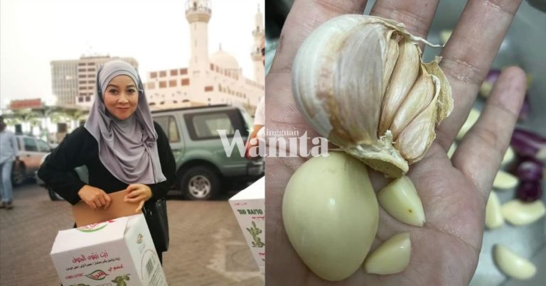 bawang-putih-kecil