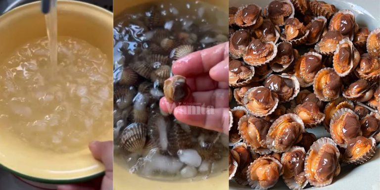 Rebus 2-3 Minit Cukup, Isi KERANG Cantik Elok Macam Cermin!