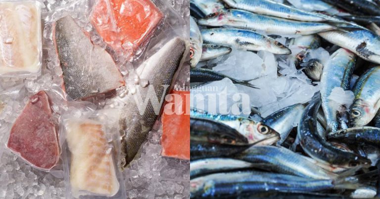 Jangan Ingat Ikan FROZEN Kurang KHASIAT, Sebenarnya Kesegaran Lebih Tinggi Berbanding Ikan SEGAR