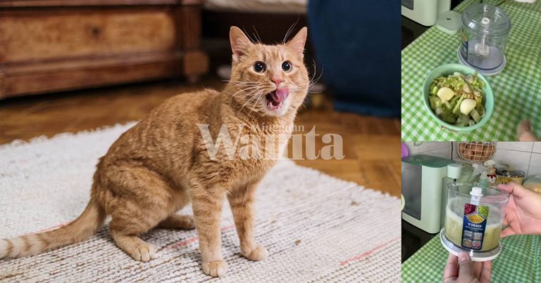 Petua Elak Kucing ‘Membuang’ Merata-rata, Guna 2 Bahan & Sembur Saja!