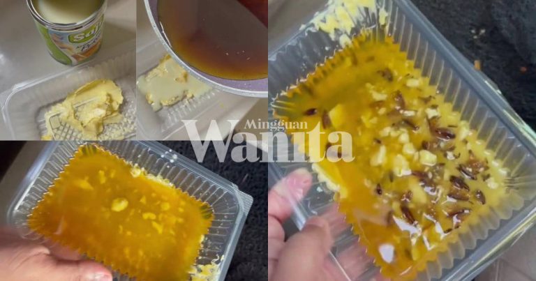 Homemade Perangkap Lipas, Guna 3 Bahan Saja, Hasilnya ‘Lumayan’