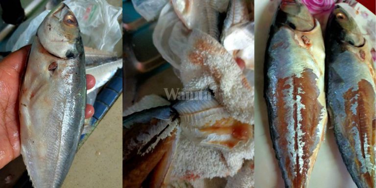 CARA Mudah Siat ‘Jaket’ IKAN CENCARU Guna Tuala, Tak Tercarik Isinya!