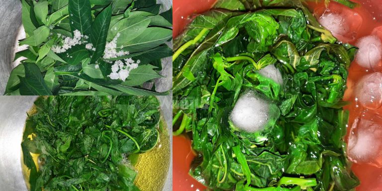 Rebus PUCUK UBI Letak ‘Baking Soda’, Elok Lembut, Warna Cantik Kehijauan!