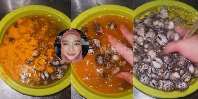Tak Perlu Berus, Bersihkan KERANG Letak Serbuk Kunyit Elok Putih Bersih!
