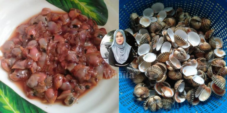 PETUA Mudah Kopek Kerang Tanpa Rebus, Lagi Segar & Manis Isinya