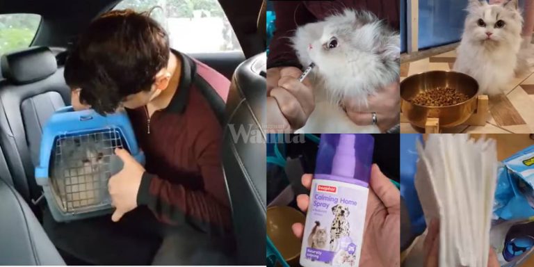 Mudahkan Perjalanan Balik Kampung, Ini Caranya TRAVEL Bawa ‘Anak Bulus’