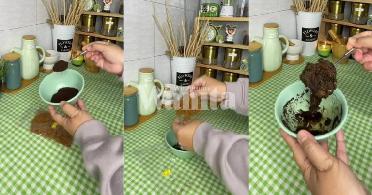 Petua Halau Cicak, Guna Tembakau & Serbuk Kopi, Bukan Saja Hilang Tapi ‘Mematikan’