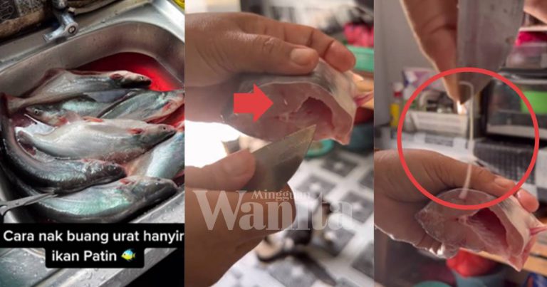 Tip Mudah Hilangkan Hanyir Ikan Patin, Masa Siang Buang Urat Putih!