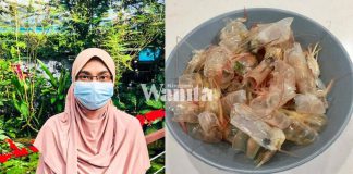 kulit-udang-jangan-buang