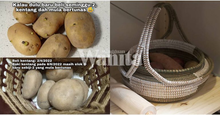 Tip Simpan Ubi Kentang Elak Bertunas Awal, Boleh Bertahan Sampai 4 Bulan
