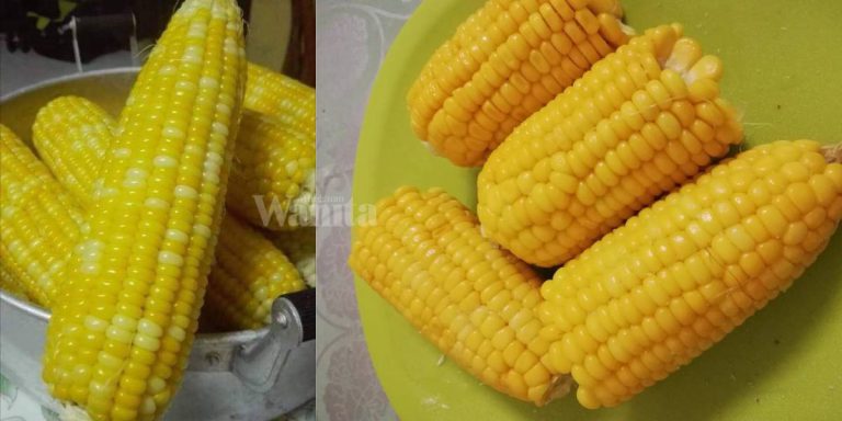 Jangan Tambah Garam Semasa Merebus, Boleh Keraskan Isi JAGUNG!