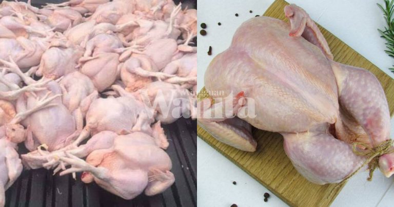 Chef Ajar Tip Nak Pilih Ayam Segar Di Pasar, Jangan Main Beli Saja!