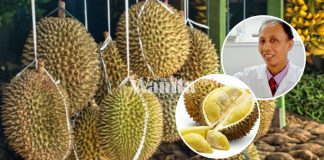 makan-durian