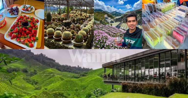 Lelaki Ini Kongsi Tip & ‘Port’ Best WAJIB Pergi Bila Sampai Ke Cameron Highlands