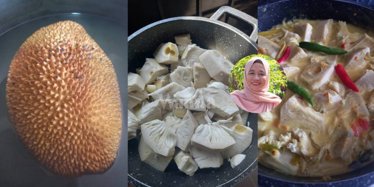 Rebus NANGKA MUDA Sebiji-Sebiji, MUDAH Potong Getah Tak Melekat Pisau!
