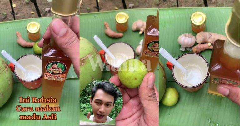 Pemuda Ini Ajar RAHSIA Makan Madu Asli, Barulah Betul Dapat Khasiatnya!
