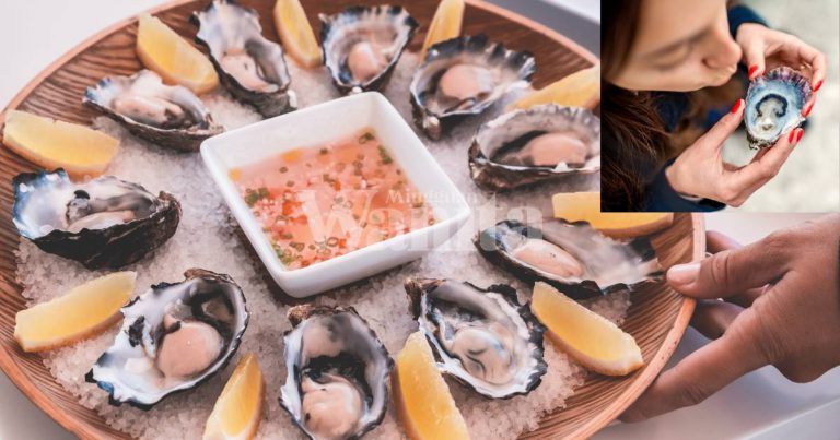 Makan Tiram Mentah Bukan Sebab ‘Kebal’ Tapi Risiko Keracunan Makanan, Lagi Bahaya!