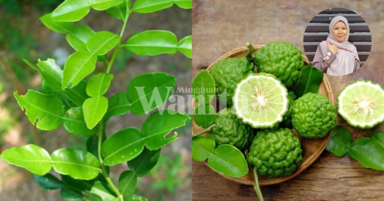 Mandi Air Limau Purut, Petua Hilangkan Rasa LEMAH & LETIH, Hilangkan Bau Badan