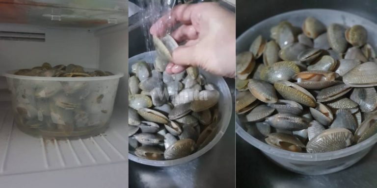 Biarkan Dalam Freezer 20 Minit, LALA Mudah Terbuka Senang Cuci Elak Busuk Hitam Berpasir!