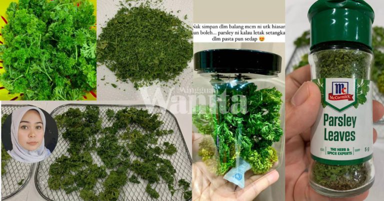 Cara Keringkan DAUN PARSLEY Untuk Masakan, Buat Stok, Terjamin Kebersihan Daunnya!
