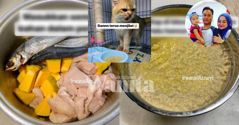 Buat Sendiri Makanan KUCING, Rahsia Si Bulus Gemuk Dan Gebu Gebas, Jimat Lagi!