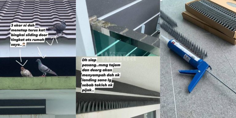 Pasang ‘Spike’ Di Bingkai ‘Sliding Door’ Cara Mudah Berkesan Halau Burung!