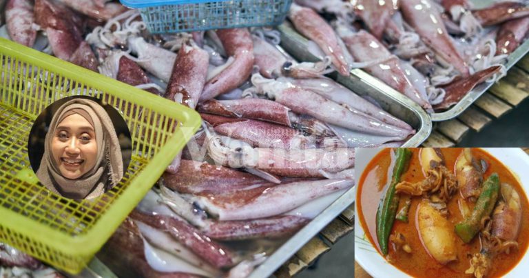 Petua Rahsia Masak Sotong Tidak Kecut & Lembut Ala Restoran Nasi Kandar