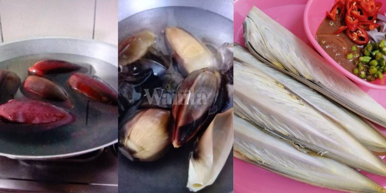 REBUS Sebiji-Sebiji Jangan Belah, Petua JANTUNG PISANG Putih Melepak Tak Lebam!