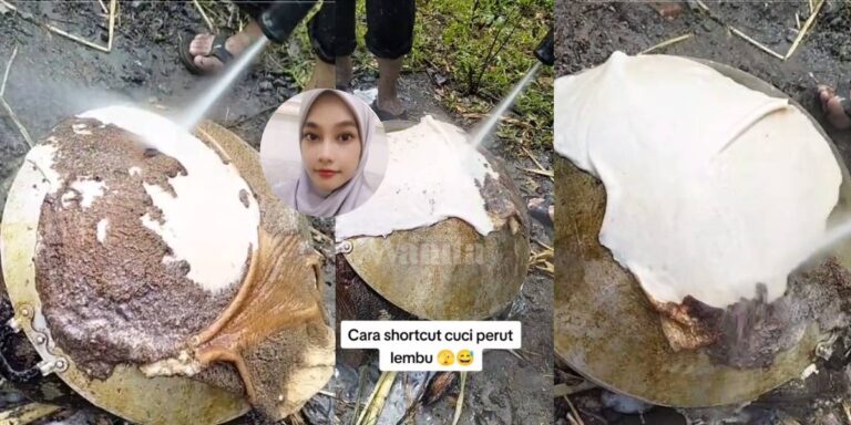 Cara ‘Shortcut’ Cuci PERUT LEMBU, Memang Mudah Elok Bersih Putih Melepak!
