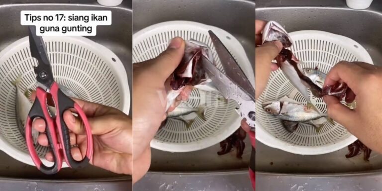 Tutorial Mudah Cara Siang IKAN Guna Gunting, Lagi Senang & Cepat!