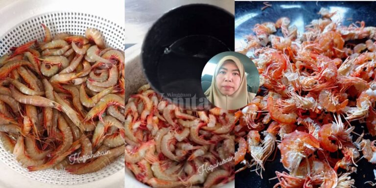 Berbaloi Buat UDANG KERING Sendiri, Puas Hati Terjamin Bersih & Suci