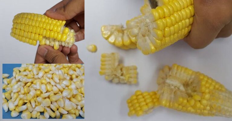 Lerai Jagung Cara Mudah, Tak Perlu Lagi Cungkil, Lurut Isi Jagung Dengan Pisau