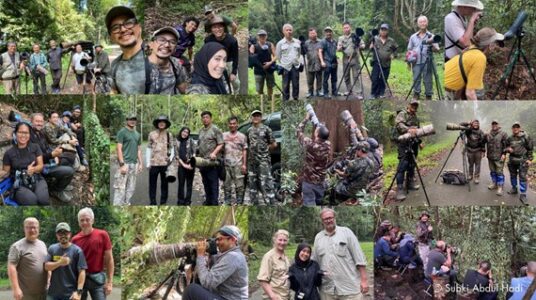 Aktiviti Memerhati Burung Untuk Wanita Penggiat Baharu di Sabah