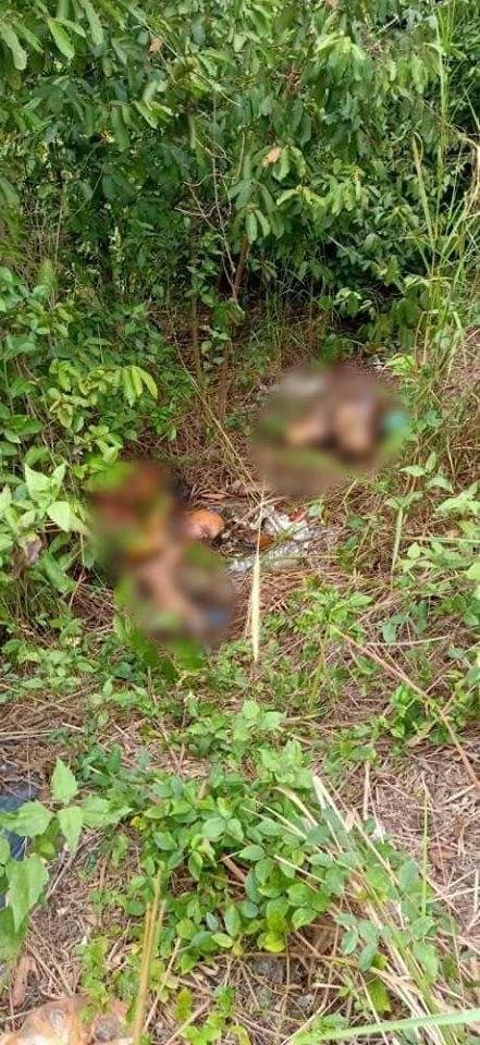 “Anak dan cucu saya dia kerat macam ayam…”Ibu tak maafkan perbuatan menantu