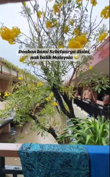 Ramai Pelancong Malaysia Terkandas Dalam Banjir Di Bali, Ada Yang Berbulan Madu, Bercuti Bersama Famili