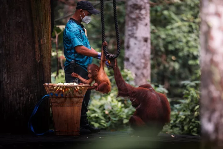 Sabah Permata Alam & Budaya, Destinasi Versatil Malaysia