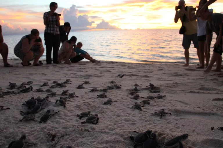 Sabah Permata Alam & Budaya, Destinasi Versatil Malaysia