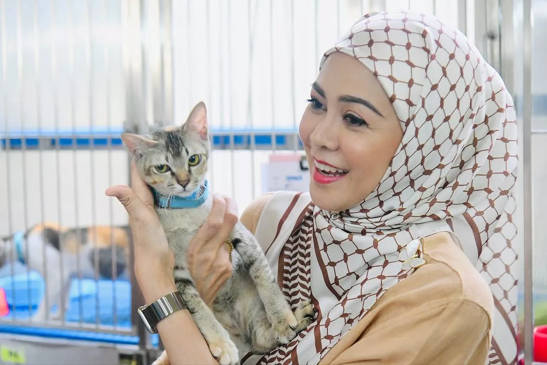 DYMM Tengku Permaisuri Selangor, Tengku Permaisuri Hajah Norashikin Pencinta Kucing, Haiwan Jalanan