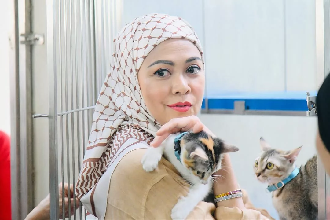 DYMM Tengku Permaisuri Selangor, Tengku Permaisuri Hajah Norashikin Pencinta Kucing, Haiwan Jalanan